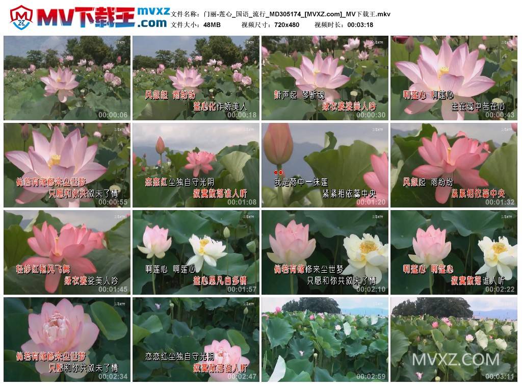 门丽-莲心_国语_流行_MD305174